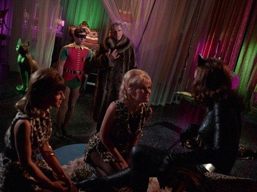 undefined Season 2 Episode 34 - The Catwoman Goeth