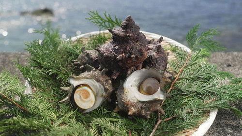 Trails to Oishii Tokyo Season 4 Episode 12 - SAZAE