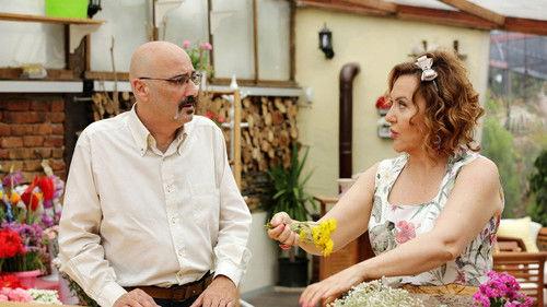 No: 309 Season 1 Episode 53 - Episode 53