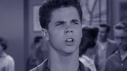 Leave It to Beaver Season 3 Episode 19 - Wally's Election