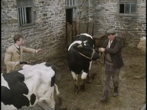 All Creatures Great and Small Season 4 Episode 3 - The Bull with the Bowler Hat