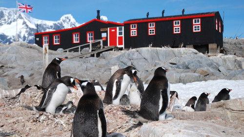 Nature Season 33 Episode 9 - Penguin Post Office