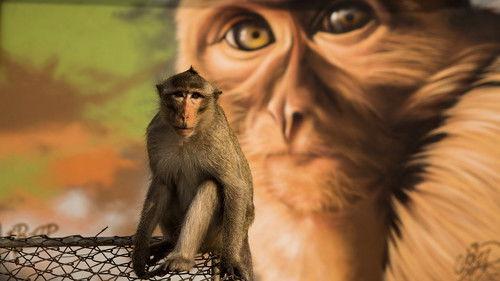 Cities: Nature's New Wild Season 1 Episode 1 - Residents