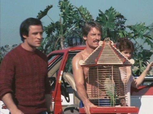 Riptide Season 2 Episode 18 - Polly Want an Explanation