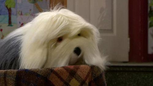 Samson & Gert Season 14 Episode 15 - Het jubileum