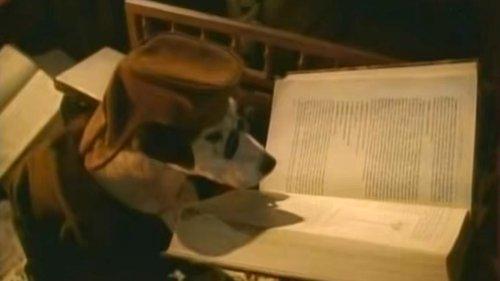 Wishbone Season 1 Episode 12 - Fleabitten Bargain