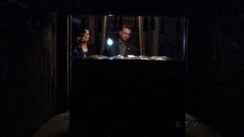CSI: NY Season 9 Episode 5 - Misconceptions