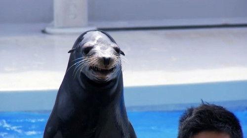 Akvariet Season 3 Episode 11 - Episode 11