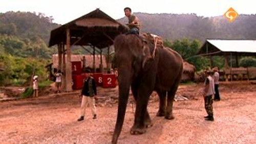 Wie is de Mol? Season 7 Episode 5 - Season 7, Episode 5