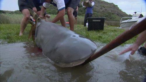 River Monsters Season 2 Episode 6 - Hidden Predator