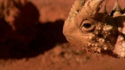 Wild Down Under Season 1 Episode 2 - Desert Heart