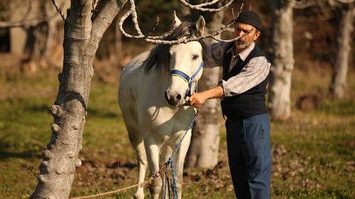 Yeşil Deniz Season 1 Episode 15 - Episode 15