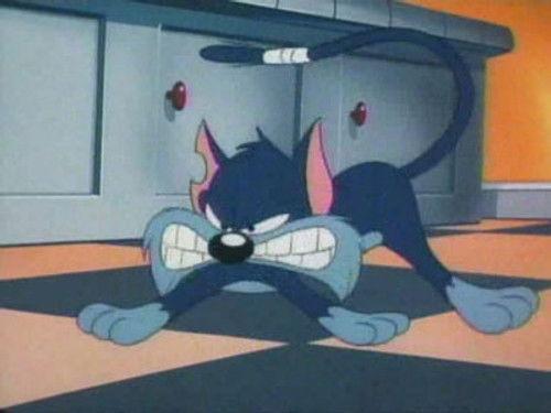 Tiny Toon Adventures Season 1 Episode 14 - Furrball Follies