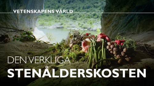 Vetenskapens värld Season 49 Episode 7 - Episode 7