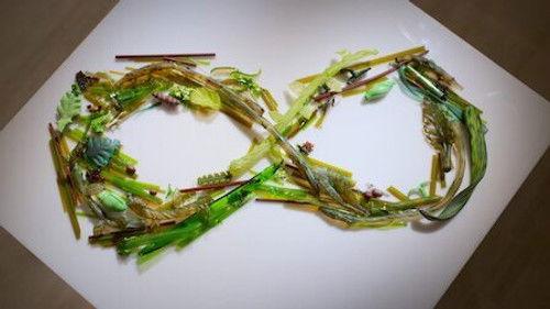 Blown Away Season 2 Episode 4 - Force of Nature