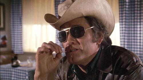 Police Woman Season 1 Episode 21 - Bloody Nose