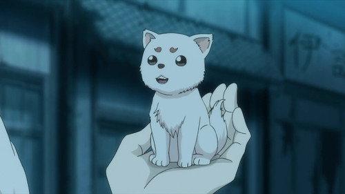 Gintama Season 11 Episode 6 - The Unemployed Cannot Be Stained By Anything