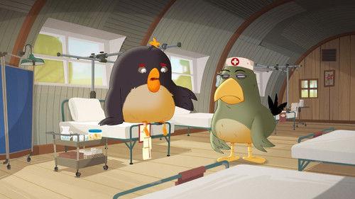 Angry Birds: Summer Madness Season 1 Episode 2 - Hospital Sweet