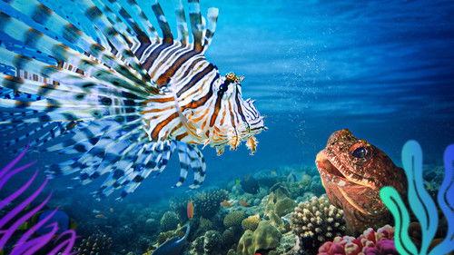 Reef School Season 2 Episode 2 - Reefie Rockstars