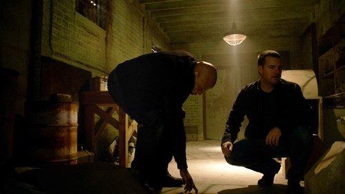 NCIS: Los Angeles Season 6 Episode 15 - Forest for the Trees