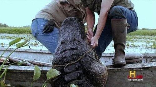 Swamp People Season 3 Episode 4 - Monster Marsh