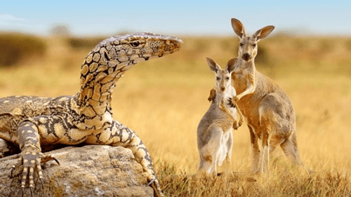 Dawn to Dusk Season 1 Episode 6 - Episode 6