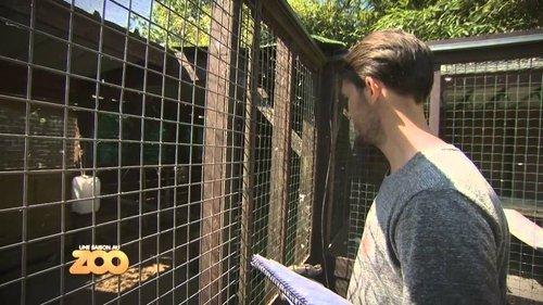 Une saison au zoo Season 4 Episode 2 - Episode 2