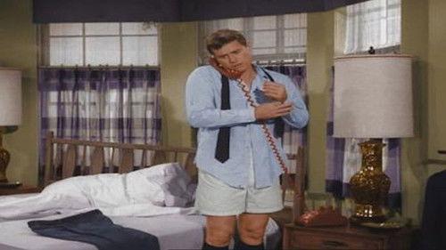 I Dream of Jeannie Season 1 Episode 23 - Watch the Birdie