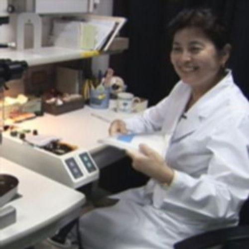 Frontline Season 26 Episode 14 - The Choice 2008