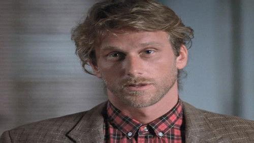 thirtysomething Season 3 Episode 20 - I'm Nobody, Who Are You?