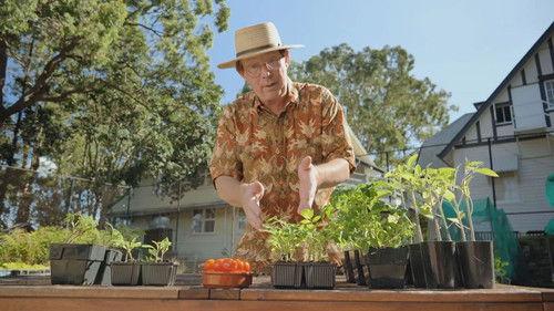Gardening Australia Season 34 Episode 16 - Episode 16 Flower Show, Tomato, Cumquat, Frost & Women