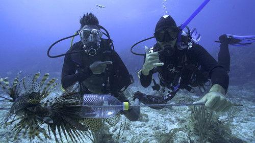 Les flots Season 1 Episode 14 - Episode 14