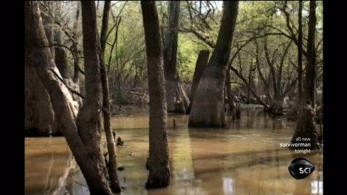 Survivorman Season 1 Episode 4 - Georgian Swamp