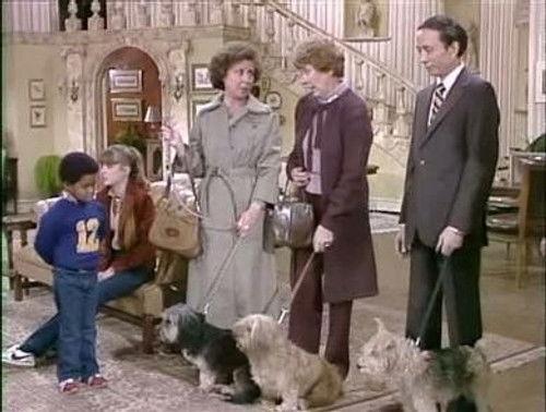 Diff'rent Strokes Season 2 Episode 15 - The Dog Story (a.k.a.) A Dog Story