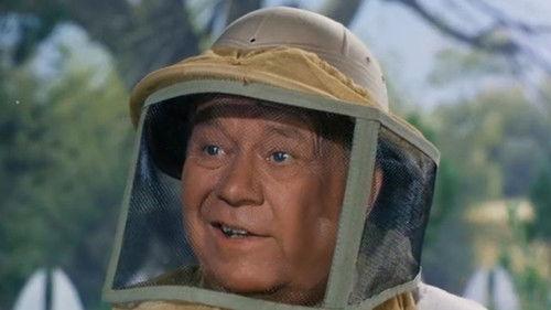 Petticoat Junction Season 5 Episode 16 - All That Buzzes Ain't Bees