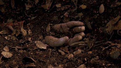 undefined Season 1 Episode 11 - Move On