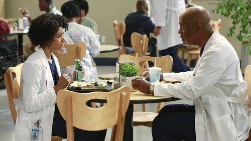 Grey's Anatomy Season 11 Episode 2 - Puzzle with a Piece Missing