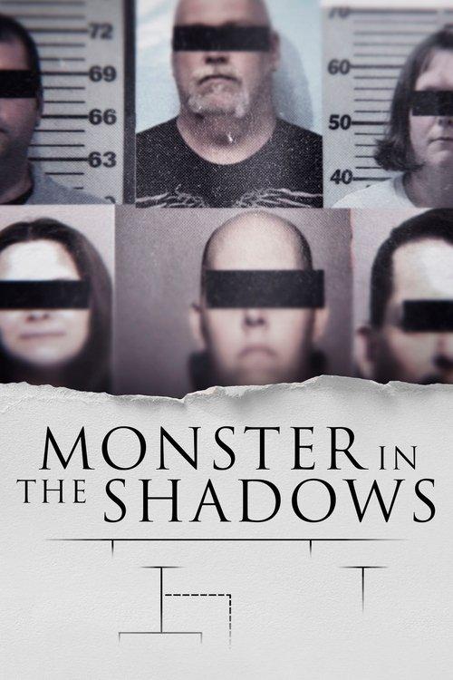 Monster in the Shadows poster