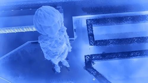 undefined Season 5 Episode 12 - Perfection