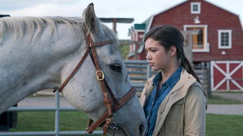 Heartland Season 9 Episode 12 - The Real Deal