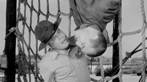 Gomer Pyle, U.S.M.C. Season 1 Episode 1 - Gomer Overcomes the Obstacle Course