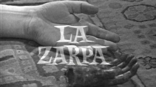 undefined Season 2 Episode 2 - The Paw