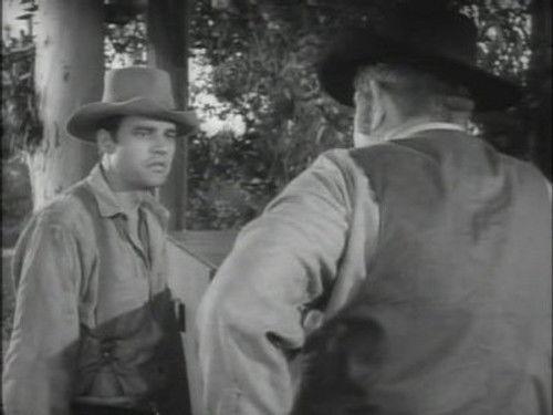 undefined Season 11 Episode 32 - Prime of Life