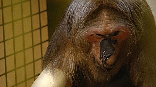 Monkey Business Season 6 Episode 9 - Episode 9