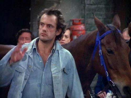 Taxi Season 2 Episode 14 - Jim Gets a Pet