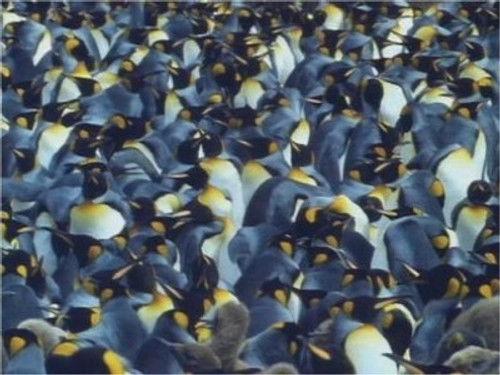 Life in the Freezer Season 1 Episode 1 - The Bountiful Sea