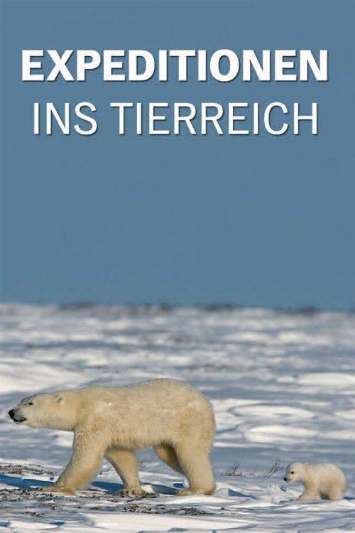 Expeditionen ins Tierreich poster