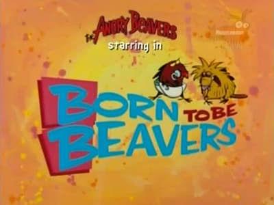 The Angry Beavers Season 1 Episode 1 - Born to Be Beavers