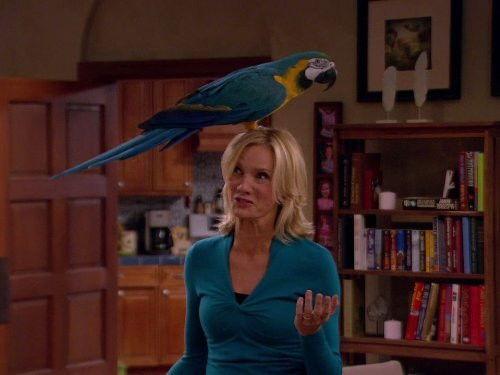 Dog with a Blog Season 1 Episode 7 - The Parrot Trap