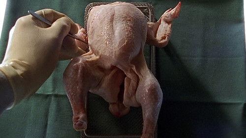 Nikola Season 8 Episode 2 - Episode 2